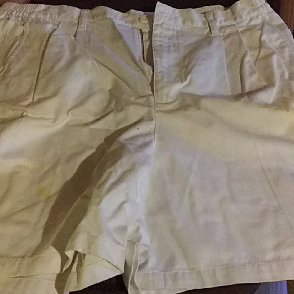 Ladies Plus Size Shorts Size 20